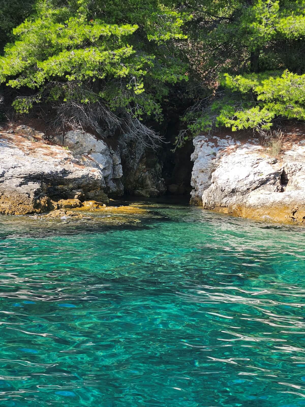 full_day_zadar_Boat_tour_molo_book_ticket